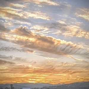 Meet your Posher, Angelina